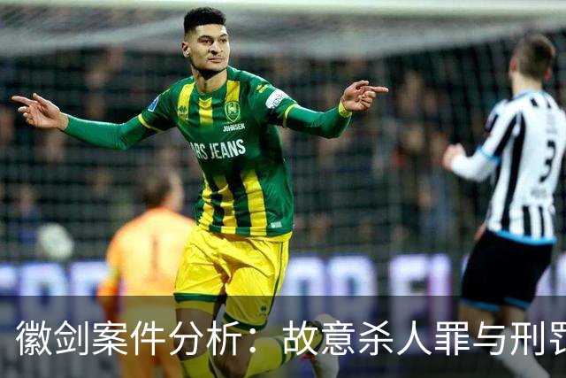 徽剑案件分析：故意杀人罪与刑罚适用之探讨